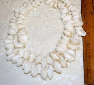 Nice White 2-Strand Maui Paired Shell Necklace • $15