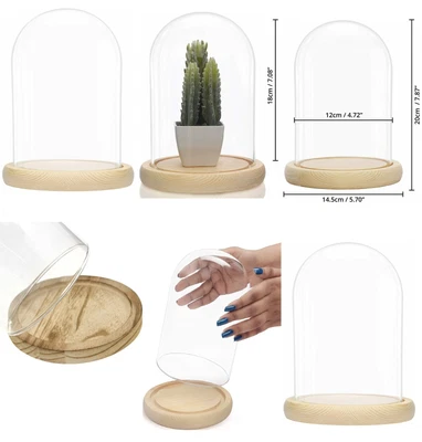 £9.90 • Buy Large Glass Display Cloche Bell Jar Dome With Wooden Base Home Display Stand New