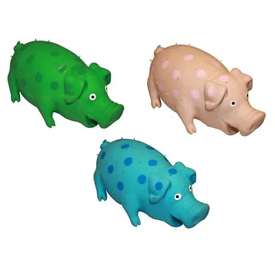 Latex Pig Dog Toy Happy Pet Green Blue Pink Large Grunting Puppy Chase Fetch Fun • £21.37