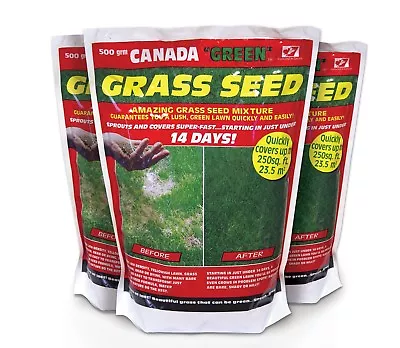 Canada Green Grass Seed- Super Fast Grow- UK No.1 Quality- 500g/1.5kg • £39.99