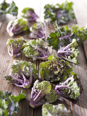 Flower Sprouts  Kale / Brussel Sprout Cross  20 Finest Seeds • £3.19