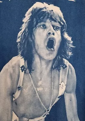 Great Vintage The Rolling Stones   Mick Jagger  T Shirt ! • $20