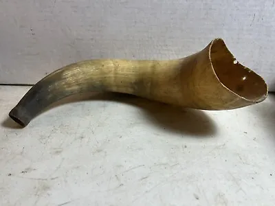 Vintage 12” Natural Bull Steer Blow Horn - Good Condition Black Brown • $39.98