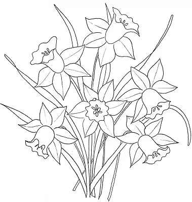 Embroidery Transfer Iron On  Daffodil  Spray Spring Flower Floral   18 X 19 Cm • £2.25