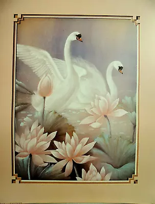 Swan Picture White Swans Lilies Tc Chiu Unframed Print 16x20 • $16.95