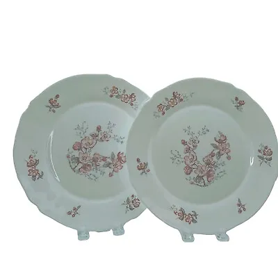 Lot 2 Arcopal ARC France Florentine Cherry Blossom 10  Dinner Plates 1990s Vtg • $12.99