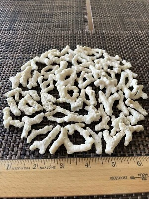 $12.99 • Buy Dried Brain CORALS Fossil Beach Ocean Sea Reef Fish Tank Aquarium Decoration
