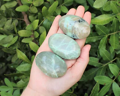 Garnierite Hand Polished Stones Green Moonstone Pebbles (Moonstone Palm Stone) • $9.95