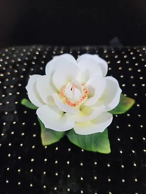 $20 • Buy Vintage Fine Porcelain China White Orange  Magnolia? Vanity Figurine Flower