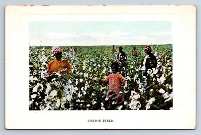 $4.99 • Buy Vintage Postcard Cotton Field Workers Child Labor Charleston SC To Keene NH P1
