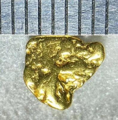 PURE GOLD NUGGET ALASKAN YUKON BC NATURAL SMALL ROCK GENUINE RAW FINE 22k .2g • $26.95