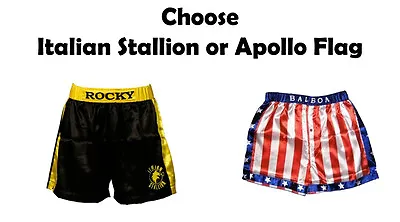 Mens Rocky Balboa Boxing Shorts Costume American Flag/Italian Stallion Trunks • $23.95