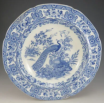 £35 • Buy Antique Pottery Pearlware Blue Transfer Ornithological Peacock Soup Dish 1815