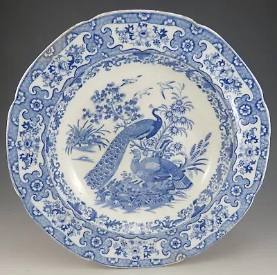 £35 • Buy Antique Pottery Pearlware Blue Transfer Ornithological Peacock Soup Dish 1815