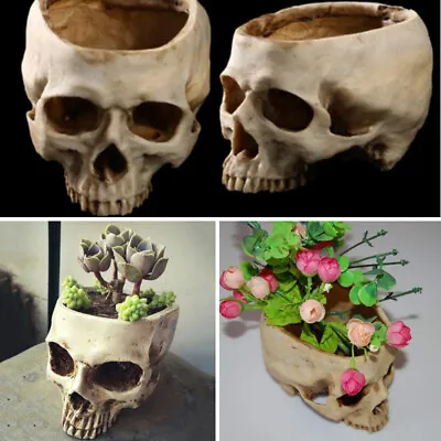 Gothic Human Skull Flower Pot Home Garden Succulent Plant Planter Halloween Prop • £9.95