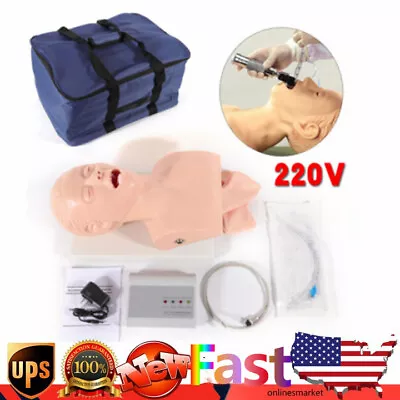 $208.05 • Buy Airway Management Trainer Study Adult Oral Intubation Manikin Teaching Model KIT