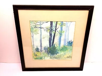 Original Signed Watercolor Painting Fall River MA Forest Leaves Black Framed Art • $48