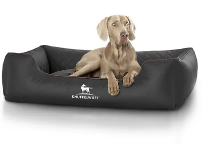 Knuffelwuff Quilted Dog Bed Large Puppy Bed Made Of Synthetic Milan Leather • £139.28