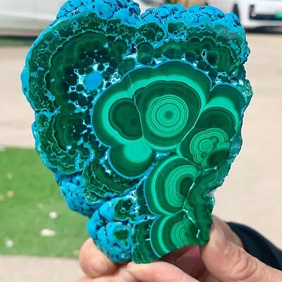 1.42LB Natural Chrysocolla/Malachite Transparent Cluster Rough Mineral Sample • $19.50