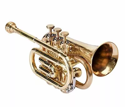 NEW MONTH SALE BRASS Bb POCKET TRUMPET+FREE HARD CASE+M/P HORN MINI POCKET CORNT • $113.16