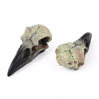 Crow Skull Necklace Goths Jewelry Resin RavenSkull Pendant Novelty Jewelry Gift • $9.99