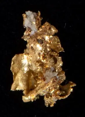 Genuine Calif. Alaska Natural Specimen Crystalline Gold Nugget .59gr 132.3mm X 6 • $115