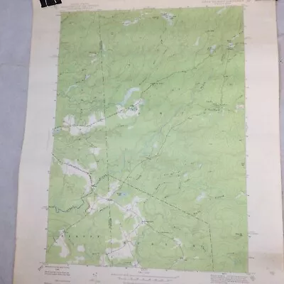 North Wilmurt NY USGS Topographical Geological Survey Quadrangle Map 22 X 27 • $17.99