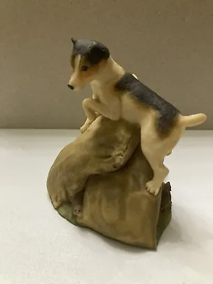 £11 • Buy Jack Russell Dogs & Rats/Mice Figure,Ornaments,Aynsley MasterCraft,1981