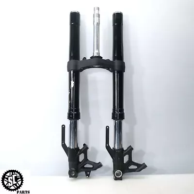 20-22 Triumph Street Triple R 765 Front End Fork Tube Suspension T28 • $950