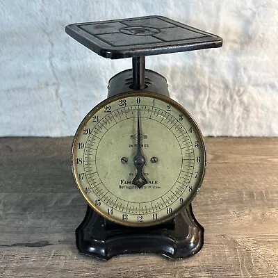 STANDARD C Family Scale 24 Pounds LB Antique Vintage Farmhouse Kitchen Ounce • $54.98