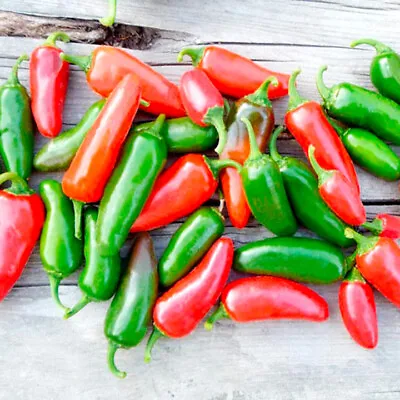 Suttons Chilli Pepper Jalapeno Capsicum Vegetable Seeds Approx 10 Seeds Per Pack • £2.99