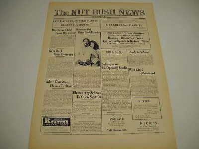 IKE & TINA TURNER With The NUT BUSH NEWS Newspaper Style 1973 Promo Poster Ad • $9.95