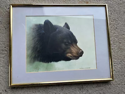 Michael Dumas Bear Print 1990 Framed • $100