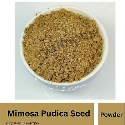 Bulk Lot Whole Mimosa Pudica Seed Powder 1kg  Beat Deal Limited Period • £43.42