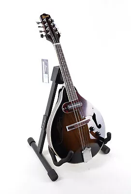Ibanez M510E 8 String Acoustic Mandolin Guitar Dark Violin Sunburst • $120
