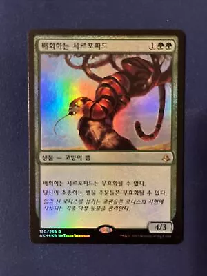 Foil MTG Korean Amonkhet 1 X Prowling Serpopard • $14