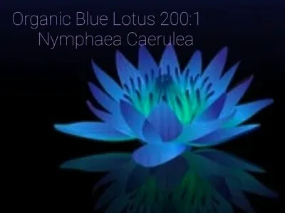 $15.99 • Buy Blue Lotus Flower/ Nymphaea Caerulea Powder 200×1 20 Grams  Sweet Dreams 