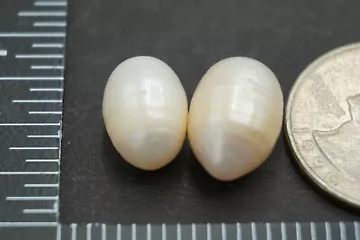 $13.68 • Buy Loose Baroque Pearls 20ct Undrilled (Natural Australia South Sea Saltwater)ssc52