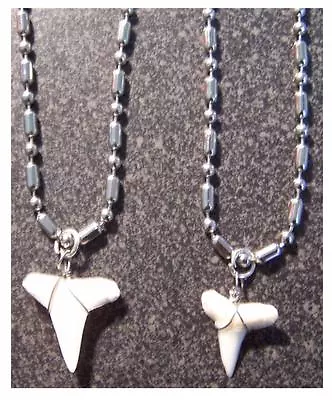 REAL SHARK TOOTH ON 20  BALL CHAIN STAINLESS STEEL NECKLACE Mens Womens Jewelry • $10.05