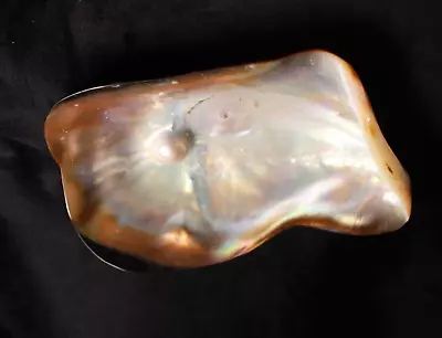 Mabe Blister Pearl In Natural Half Shell Rainbow Iridescent Mother Of Pearl Dish • $46