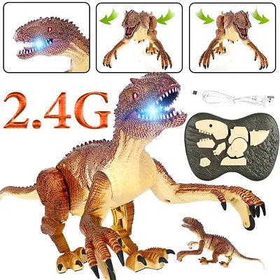 2.4G RC Dinosaur Toys Big Walking Realistic Velociraptor Dinosaur Robot Toy Gift • £13.89