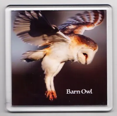 £3.50 • Buy 180301C - Barn Owl In Flight - 10cm Square Acrylic Drinks Mat Coaster