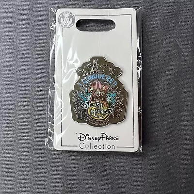 Disney Pin I Conquered And Brer'ly Got Wet Splash Mountain Br'er Rabbit • $12.98