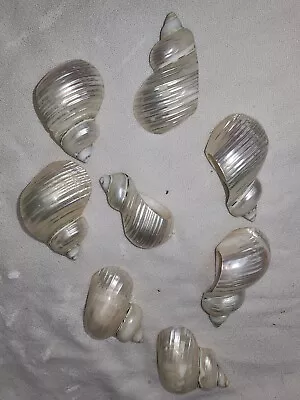 Vintage Sea Shell Napkin Ring Holders 8 Mother Of Pearl • $27.99