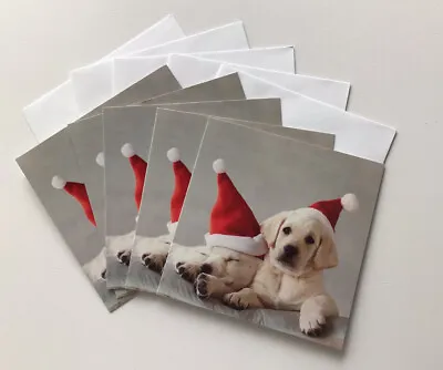 Mini Christmas Cards Cute Labrador Dog By HALLMARK 5 Pack 9.5cm X 9.5cm Xmas NEW • £1.50