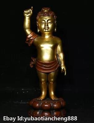 Tibet Buddhism Bronze Gilt 24k Gold Shakyamuni Sakyamuni Amitabha Buddha Statue • $888