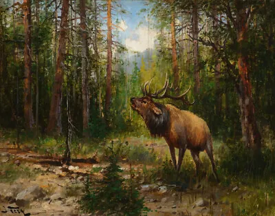 John Fery Elk Glacier Park Canvas Print 16 X 20   #7741 • $34.99