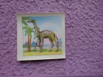 Dandy Gum - Prehistoric Animals Serie (transfer)  #2 Alticamelus  Gd / Vg • £5.45