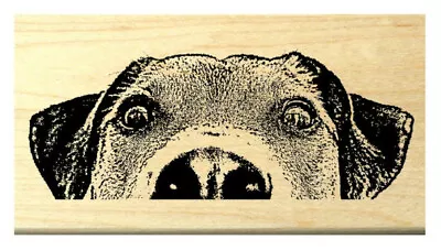 P119 Peeking Dog Rubber Stamp • $12