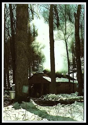 Vermont Maple Sugaring Continental Postcard     Cl10 • $6